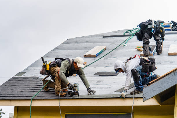 Professional Roofing technician working in Harmony, MN